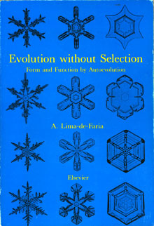 Evolution without Selection