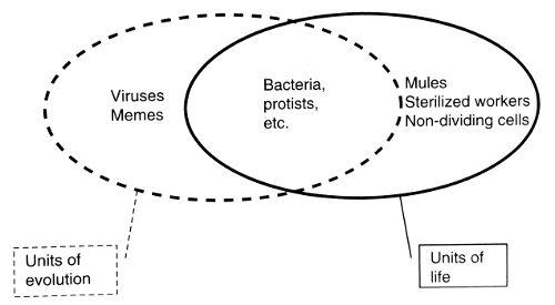 Overlapping but non-identical sets of units of evolution and units of life