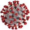 Corona virus (wikipedia)
