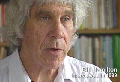 Bill Hamilton interview