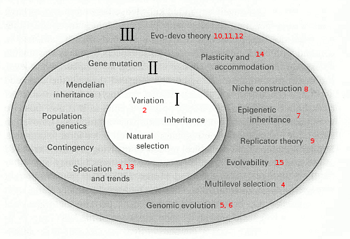 THE EXTENDED SYNTHESIS