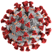 Corona virus (wikipedia)
