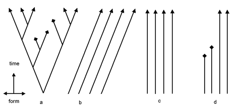 Figure 3.2