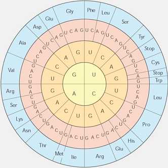 genetic code circle